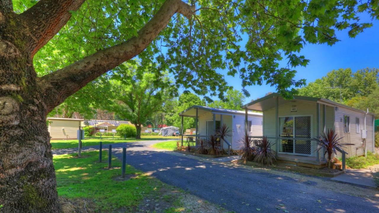 Myrtleford Holiday Park Εξωτερικό φωτογραφία