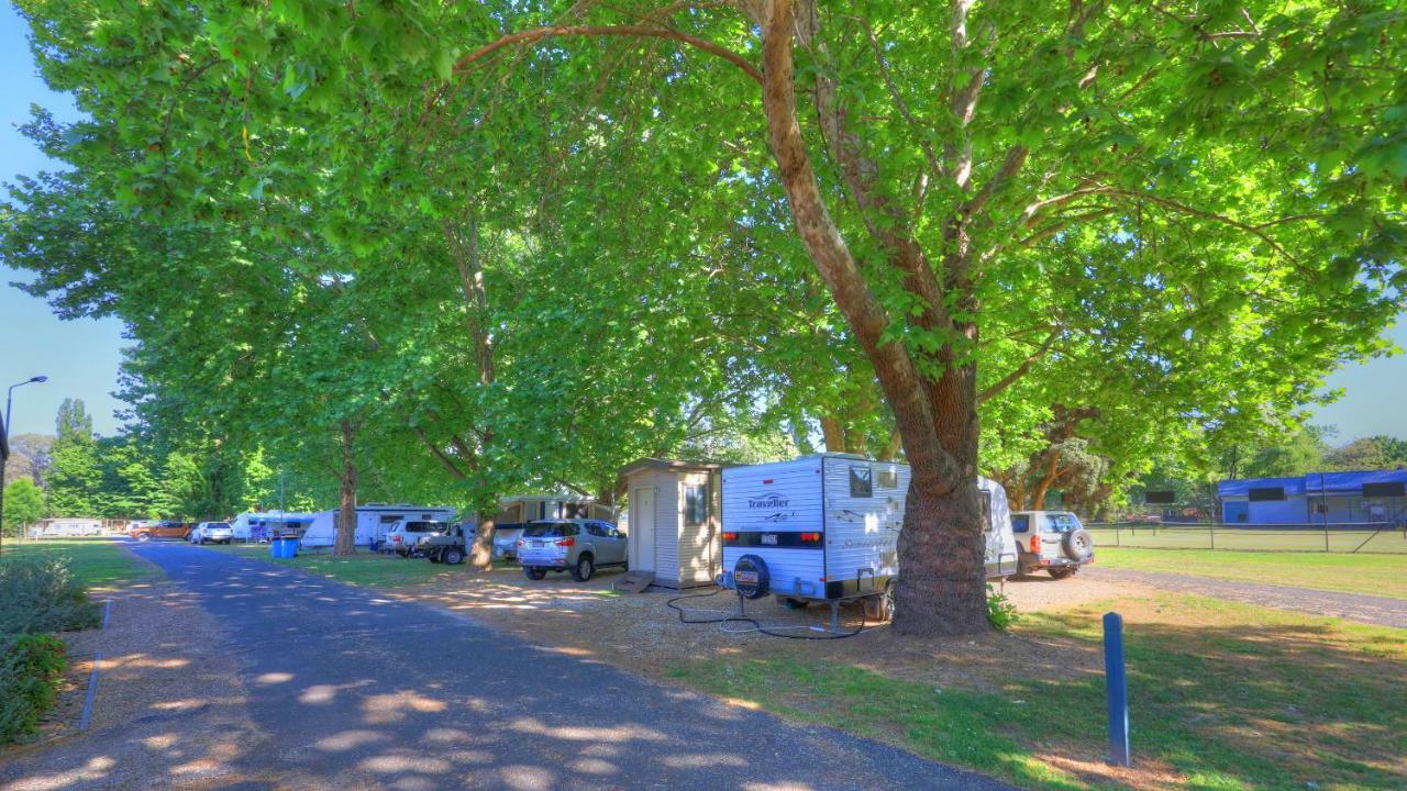 Myrtleford Holiday Park Εξωτερικό φωτογραφία